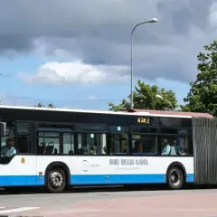 Ile naprawdę zarabia kierowca ZKM Gdynia? Sprawdź wynagrodzenia i warunki pracy