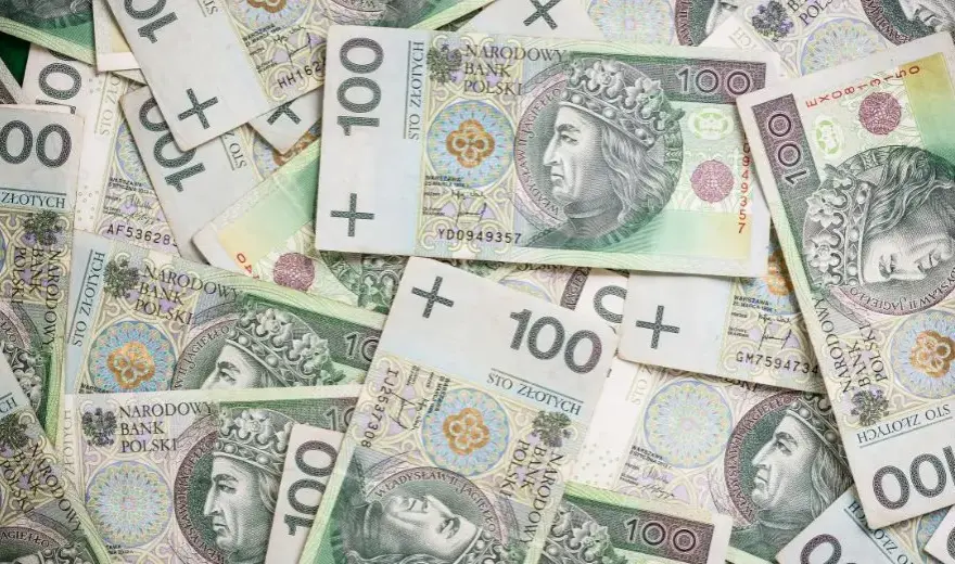Ile zarabia kierowca C w wojsku? Sprawdź zarobki, wymagania i benefity